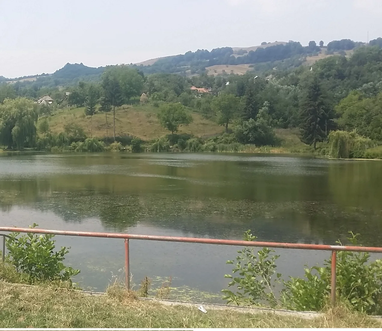 Catabiomed - Servicii de biorezonanta in Nucșoara Argeș | Tratament Naturist personalizat | Regim Personalizat