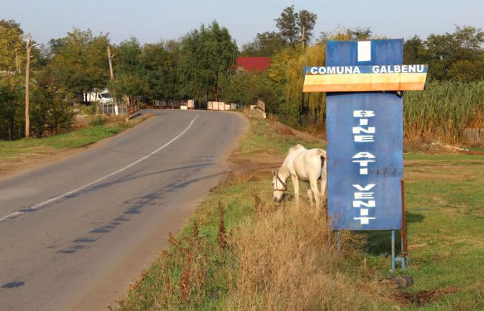 Catabiomed - Servicii de biorezonanta in Galbenu Braila | Tratament Naturist personalizat | Regim Personalizat