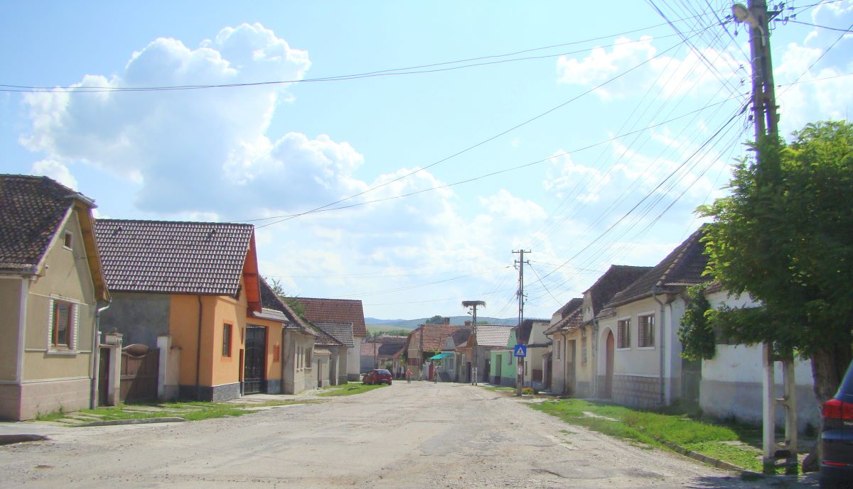 Catabiomed - Servicii de biorezonanta in Apața Brasov | Tratament Naturist personalizat | Regim Personalizat