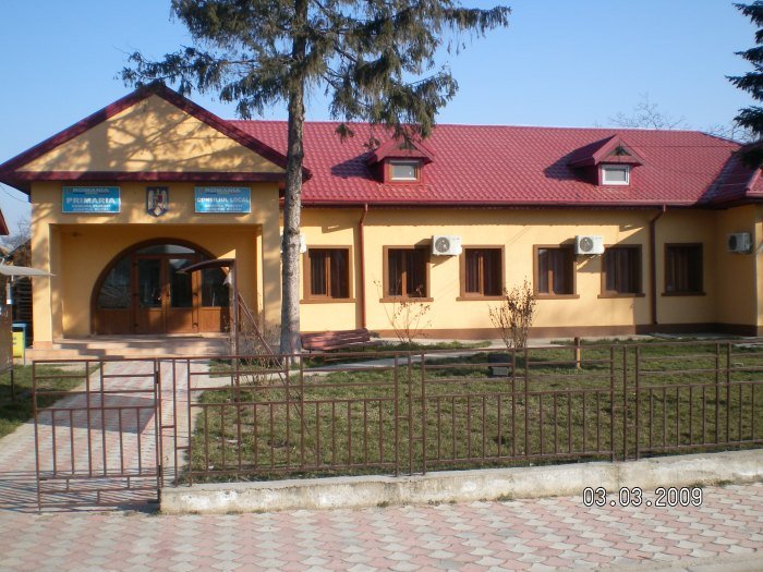 Catabiomed - Servicii de biorezonanta in puiesti | Tratament Naturist personalizat puiesti | Regim Personalizat puiesti | Servicii Biorezonanta in puiesti