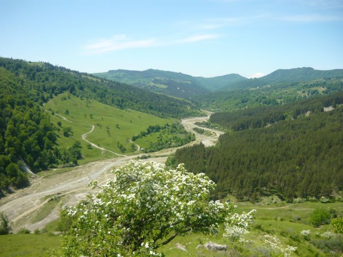 Catabiomed - Servicii de biorezonanta in Valea Ramnicului | Tratament Naturist personalizat Valea Ramnicului | Regim Personalizat Valea Ramnicului | Servicii Biorezonanta in Valea Ramnicului