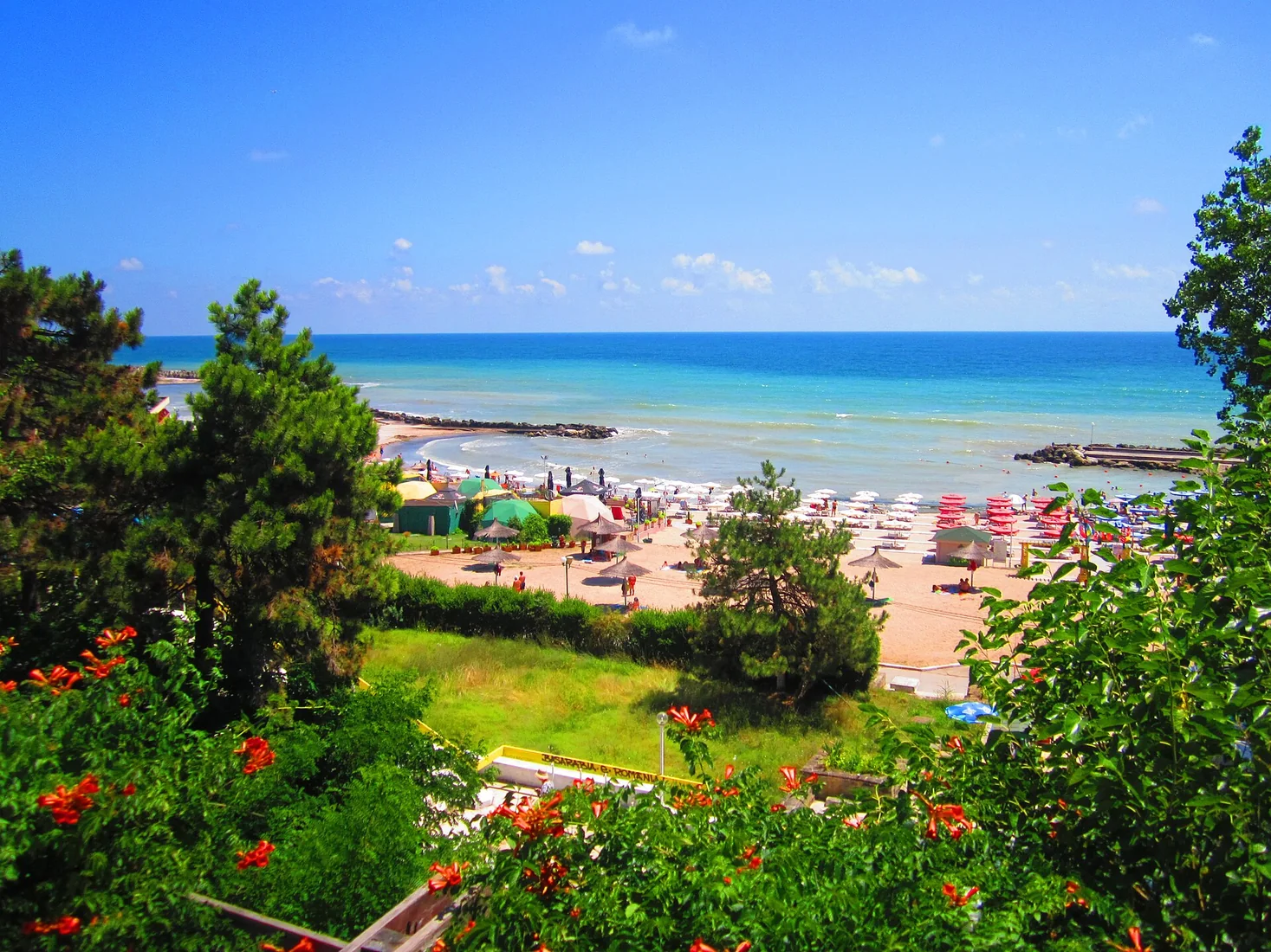 Catabiomed - Servicii de biorezonanta in Mangalia Constanța | Tratament Naturist personalizat | Regim Personalizat