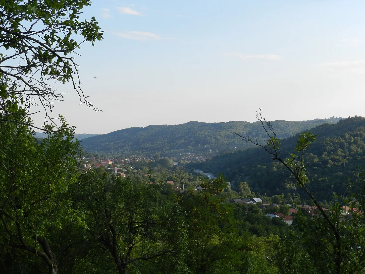 Catabiomed - Servicii de biorezonanta in Pietroșița Dâmbovița | Tratament Naturist personalizat | Regim Personalizat