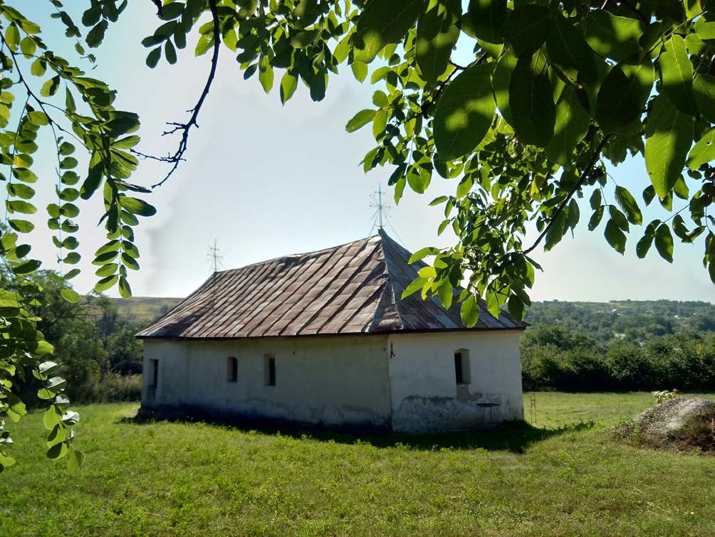 Catabiomed - Servicii de biorezonanta in Priponesti | Tratament Naturist personalizat Priponesti | Regim Personalizat Priponesti | Servicii Biorezonanta in Priponesti