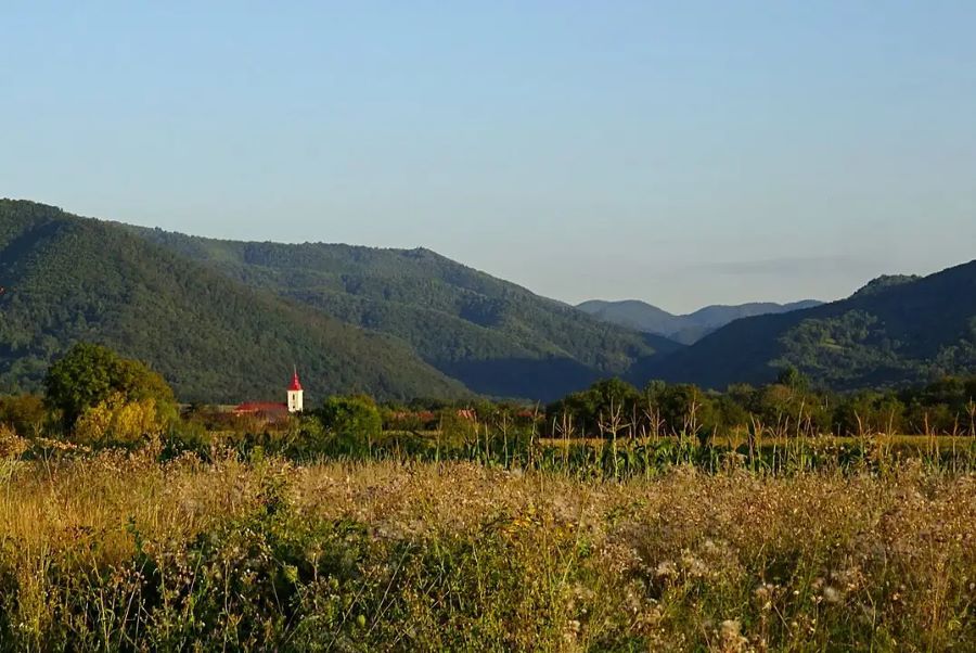 Catabiomed - Servicii de biorezonanta in Pui Hunedoara | Tratament Naturist personalizat | Regim Personalizat