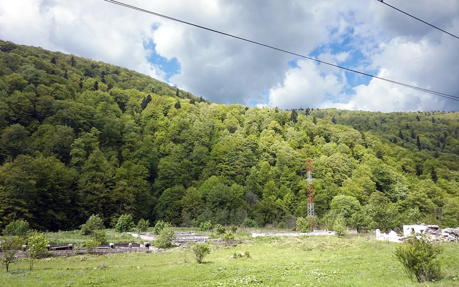 Catabiomed - Servicii de biorezonanta in Azuga Prahova | Tratament Naturist personalizat | Regim Personalizat