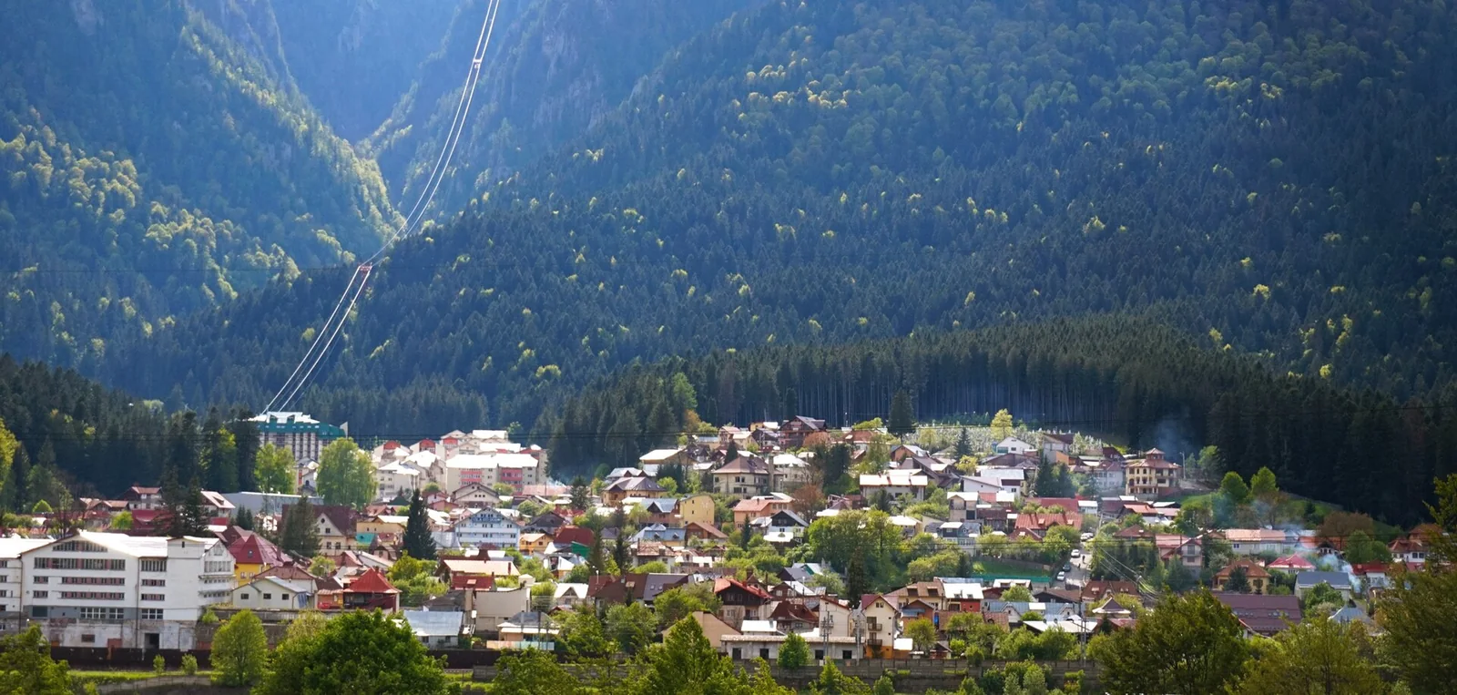 Catabiomed - Servicii de biorezonanta in Bușteni Prahova | Tratament Naturist personalizat | Regim Personalizat