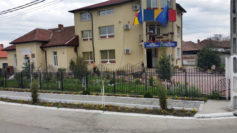 Catabiomed - Servicii de biorezonanta in Mihaesti | Tratament Naturist | Regim Personalizat | Diagnosticare prin biorezonanta