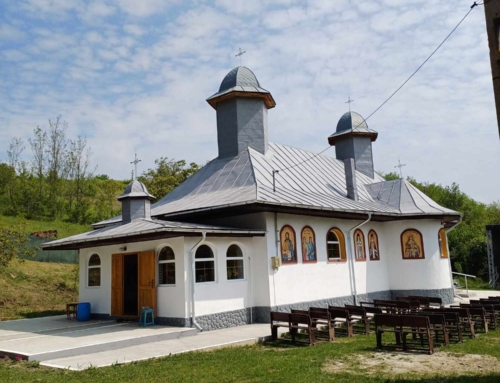 Catabiomed - Servicii de biorezonanta in Dragomiresti Vaslui | Tratament Naturist | Regim Personalizat | Diagnosticare prin biorezonanta