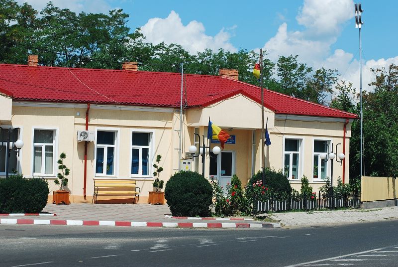 Catabiomed - Servicii de biorezonanta in Golesti Vrancea | Tratament Naturist personalizat | Regim Personalizat