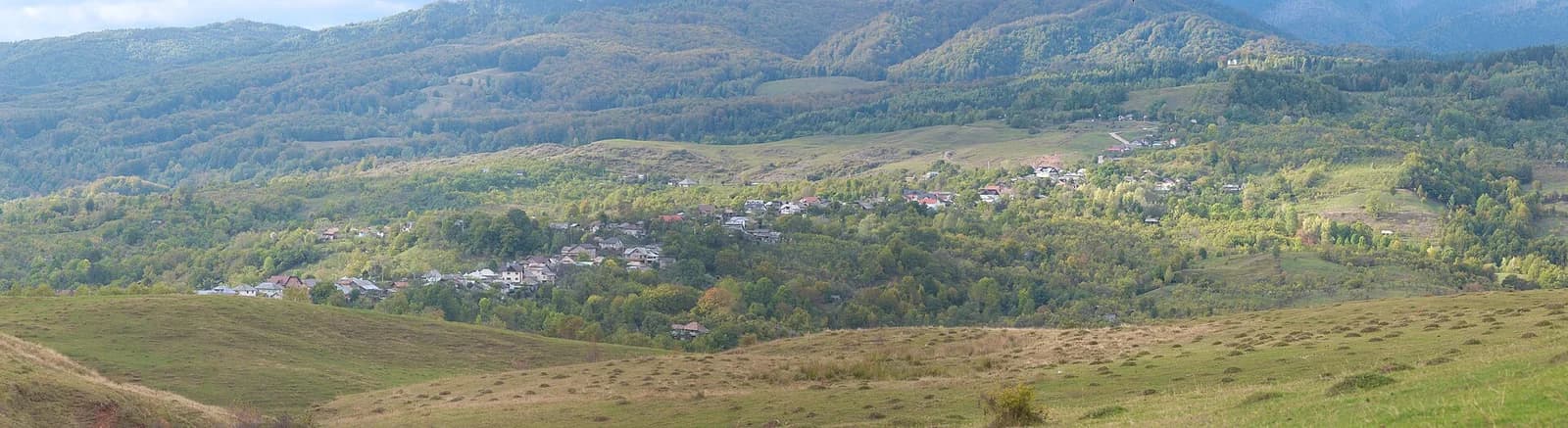 Catabiomed - Servicii de biorezonanta Dambovita | Diagnosticare prin biorezonanta in Judetul Dambovita | tratament naturist Dambovita biorezonanta
